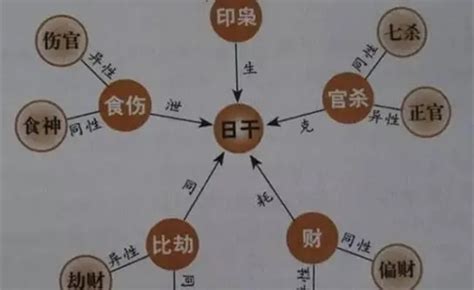 姓名十神|【基礎教學】八字十神是什麼？10個十神與格局說明